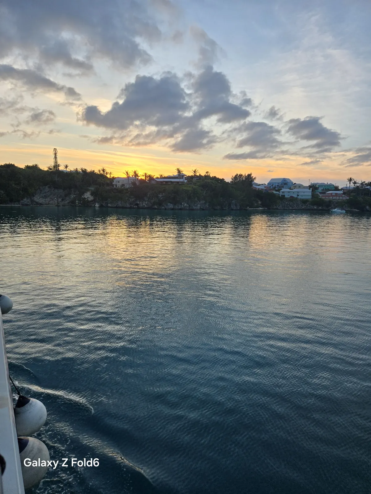 the cruise hq rocky bermuda shoreline with homes and palm trees at dusk on the great sound