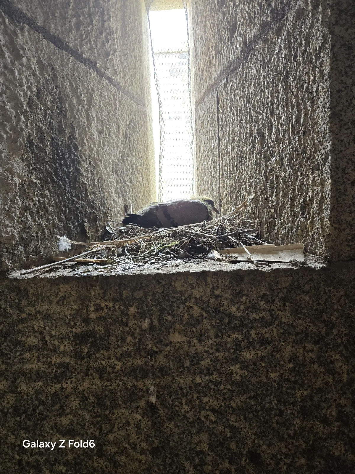 the cruise hq light coming through a narrow slit window in a thick stone wall at halifax citadel